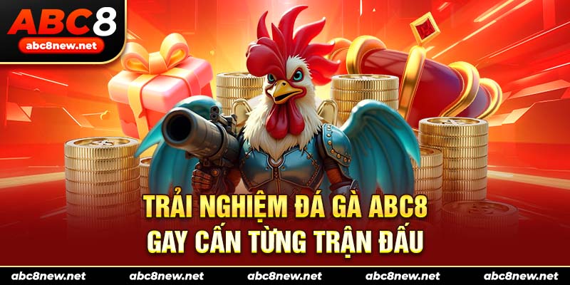 Trải nghiệm đá gà ABC8 gay cấn từng trận đấu