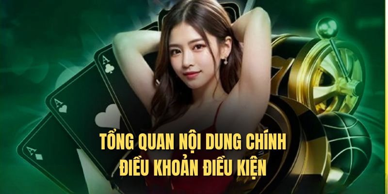 Giới thiệu vài nét về điều khoản điều kiện ABC8