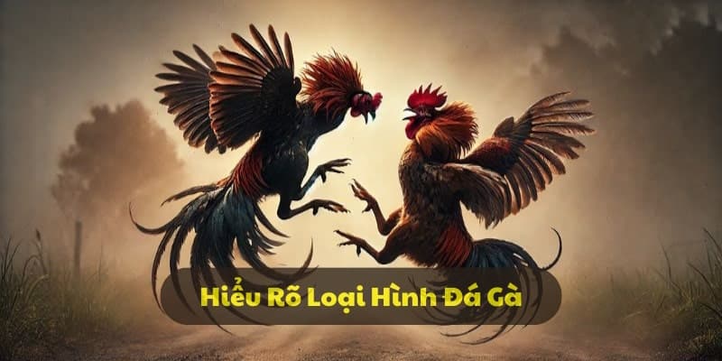 Mẹo soi kèo đá gà ABC8 buộc bạn hiểu rõ hình thức Mẹo soi kèo đá gà ABC8 buộc bạn hiểu rõ hình thức
