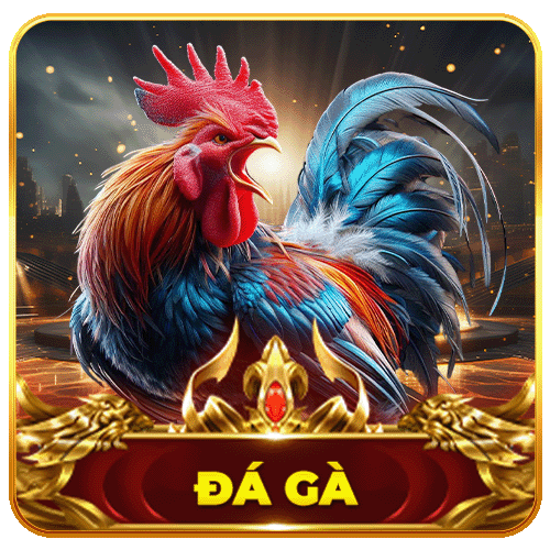 Đá gà ABC8
